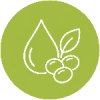 Lecithin