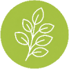 Moringa (3)