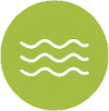 Spirulina (3)